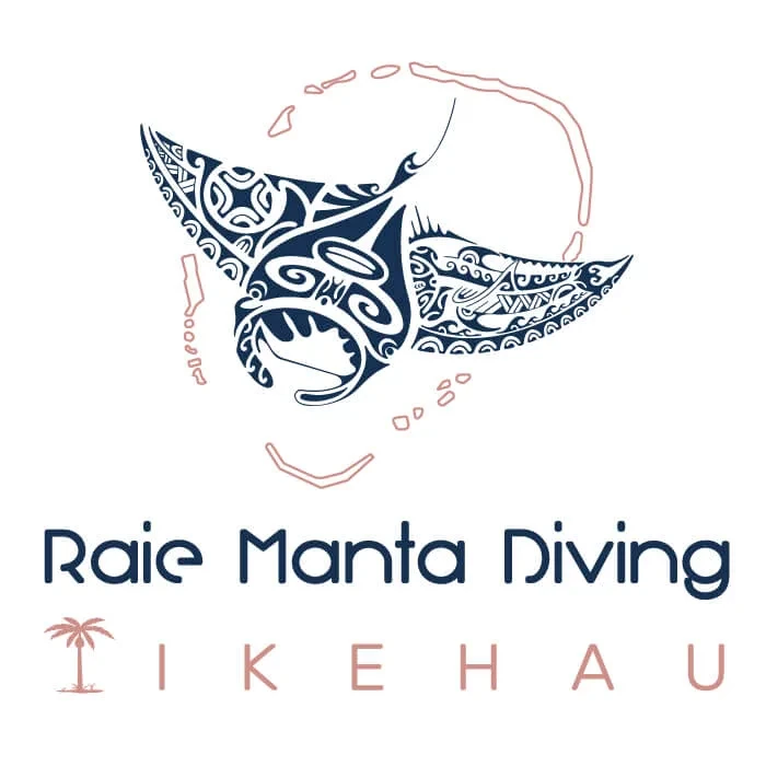 Raie Manta Diving
